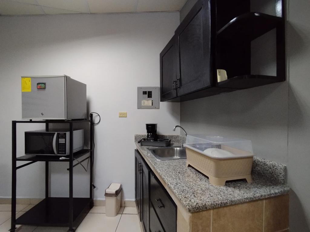 Kuchyň nebo kuchyňský kout v ubytování Apartamentos Marconela
