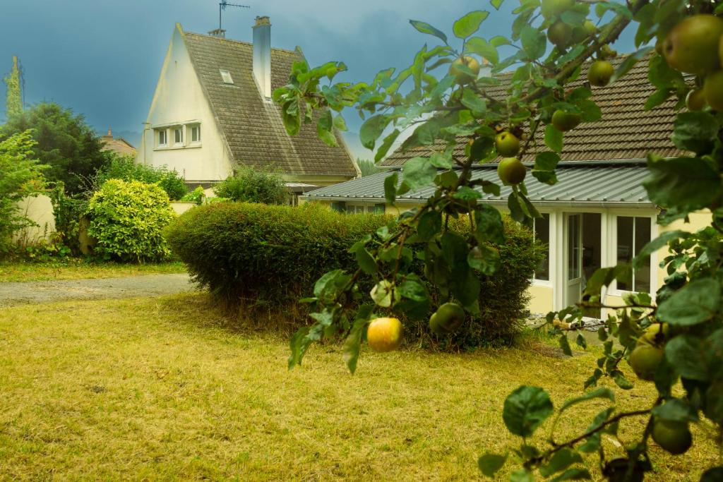 un pommier dans la cour d'une maison dans l'établissement Maison avec jardin, centre ville et plage à pieds, à Houlgate