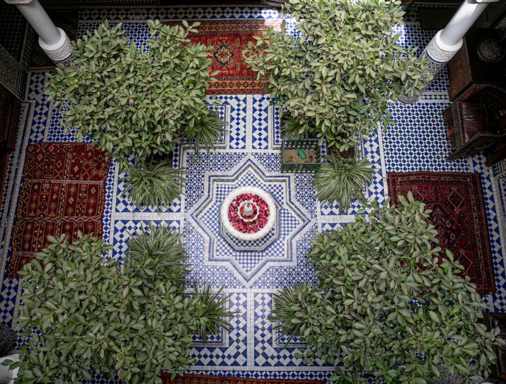 Zahrada ubytování Riad Bab Chems
