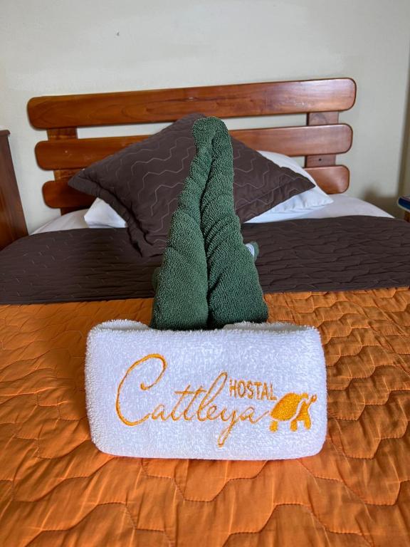 Postel nebo postele na pokoji v ubytování Hostal Cattleya