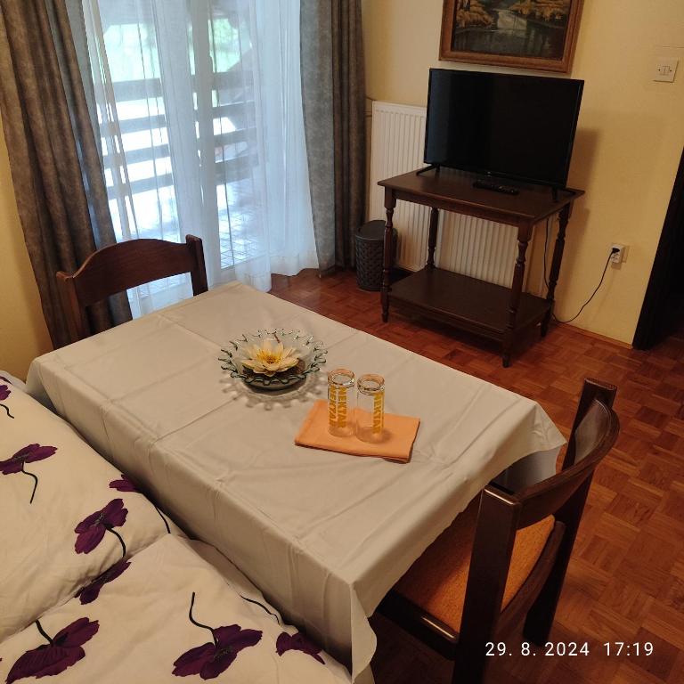 TV a/nebo společenská místnost v ubytování Guest House Atelšek