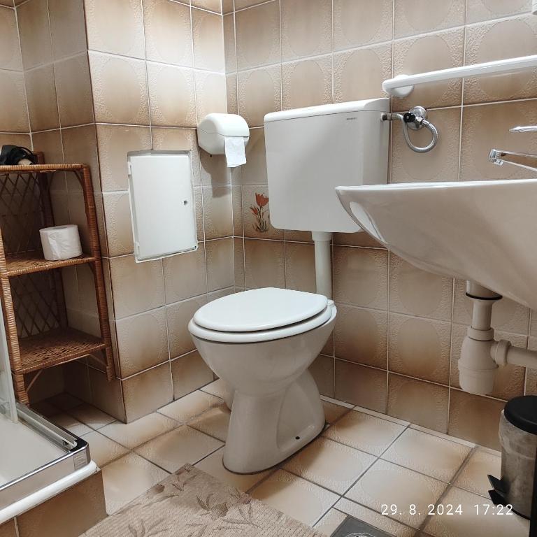Koupelna v ubytování Guest House Atelšek