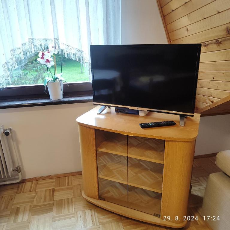 TV a/nebo společenská místnost v ubytování Guest House Atelšek