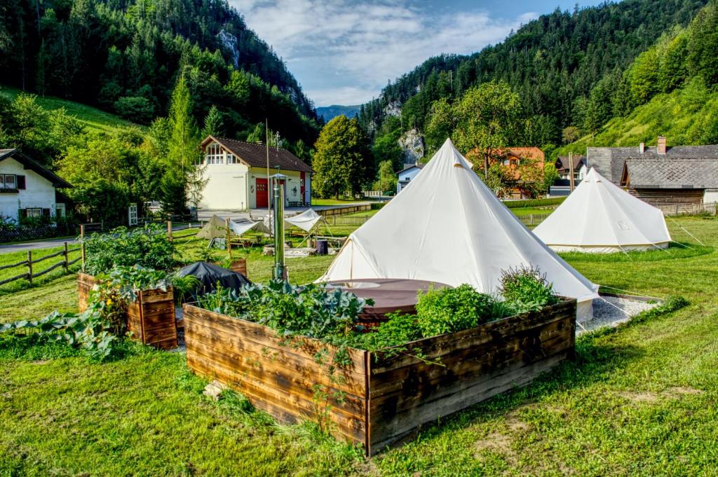 Příroda nedaleko luxury tent