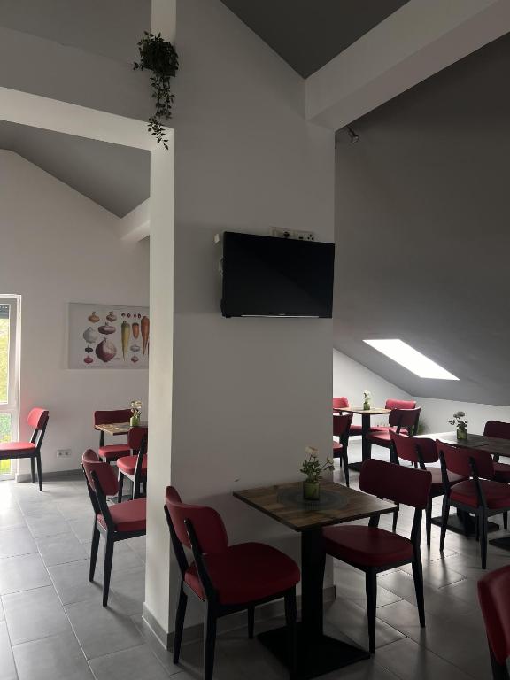 TV a/nebo společenská místnost v ubytování Hotel zur Radau