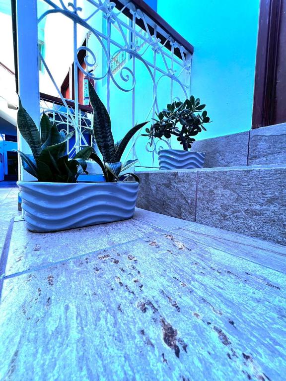 Fotografie z fotogalerie ubytování Hotel en Guadalajara Posada Mi Rey v destinaci Guadalajara