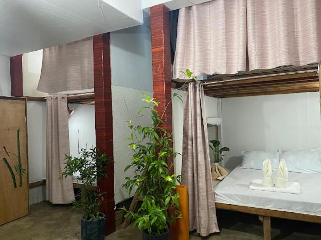 Wave retreat - 4-Bed Female Dormitory Room