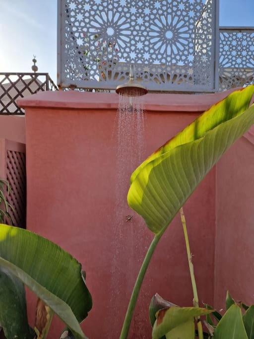Fotografie z fotogalerie ubytování RIAD SAMAH v Marrákéši