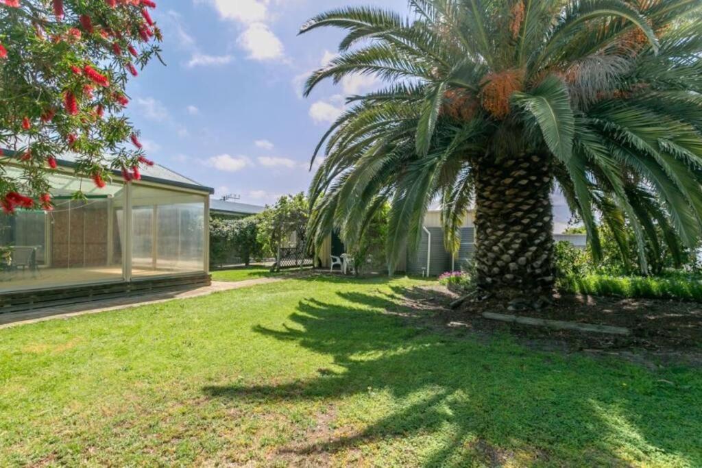 a palm tree in the yard of a house at Goolwa Retreat in Goolwa North