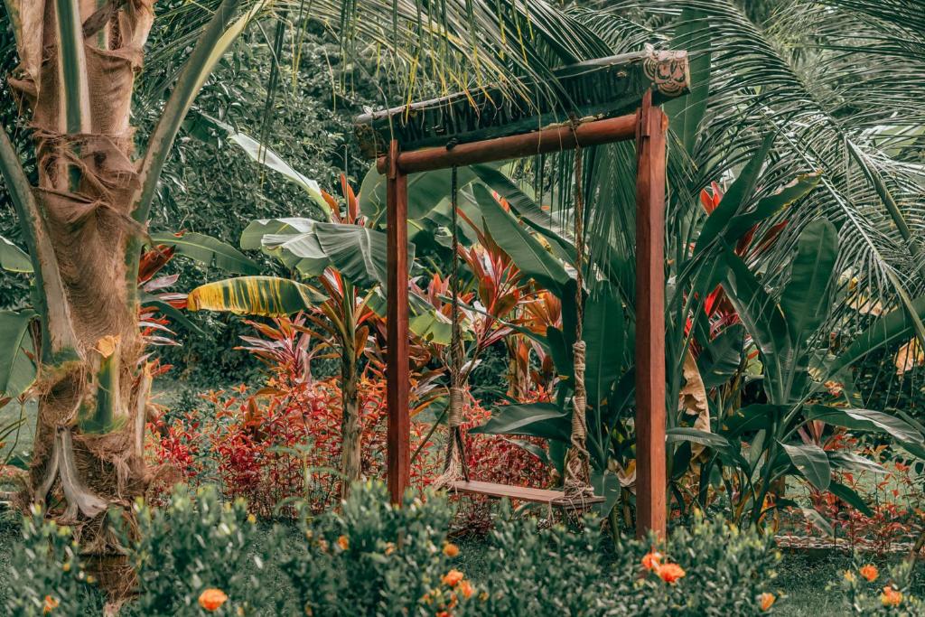 Ein Garten an der Unterkunft Magic Green Dentro del Parque Tayrona