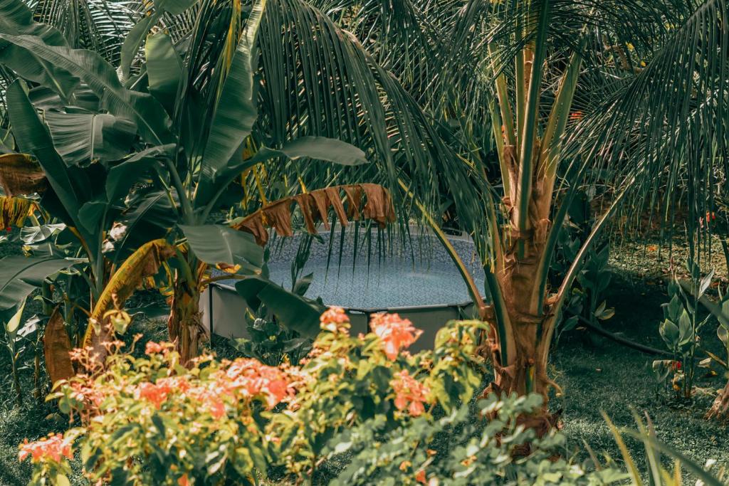 Ein Garten an der Unterkunft Magic Green Dentro del Parque Tayrona