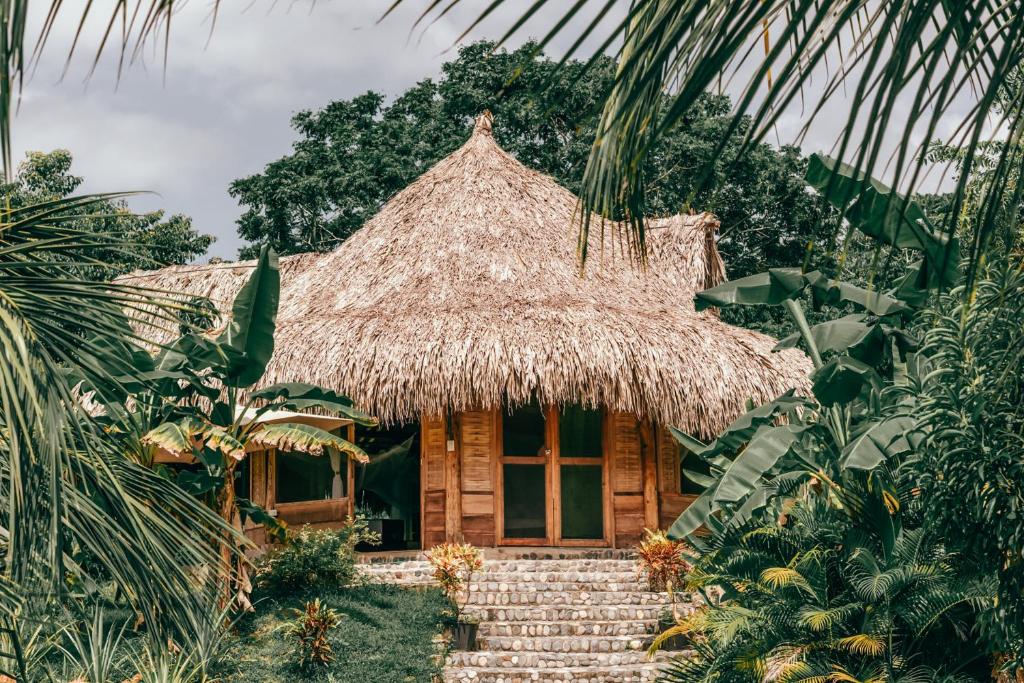 Ein Garten an der Unterkunft Magic Green Dentro del Parque Tayrona
