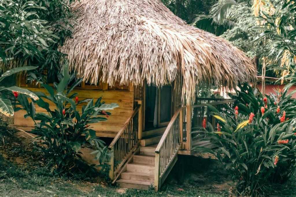Ein Garten an der Unterkunft Magic Green Dentro del Parque Tayrona