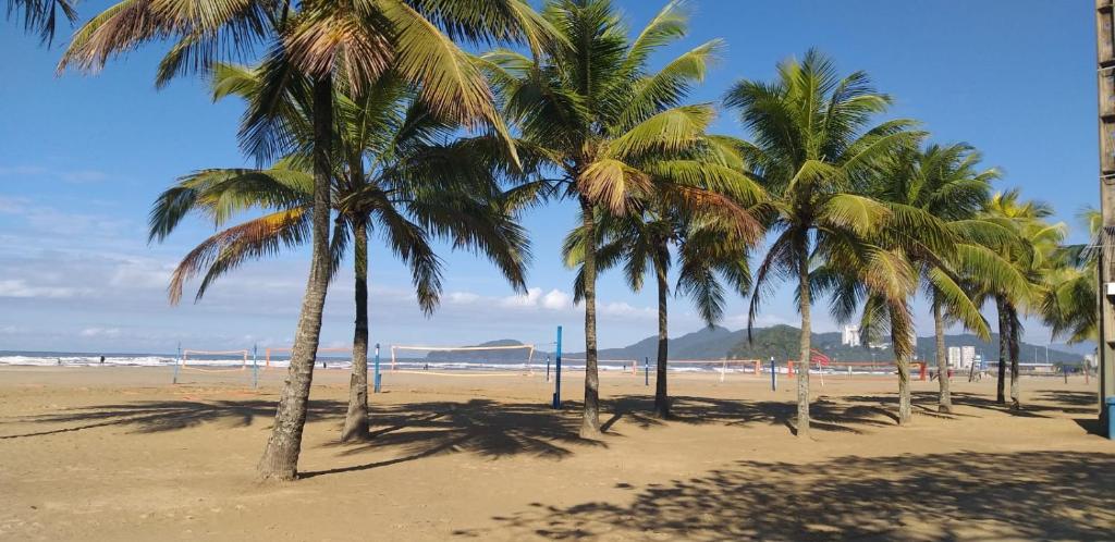 a row of palm trees on a sandy beach at Apartamento vista mar Santos in Santos