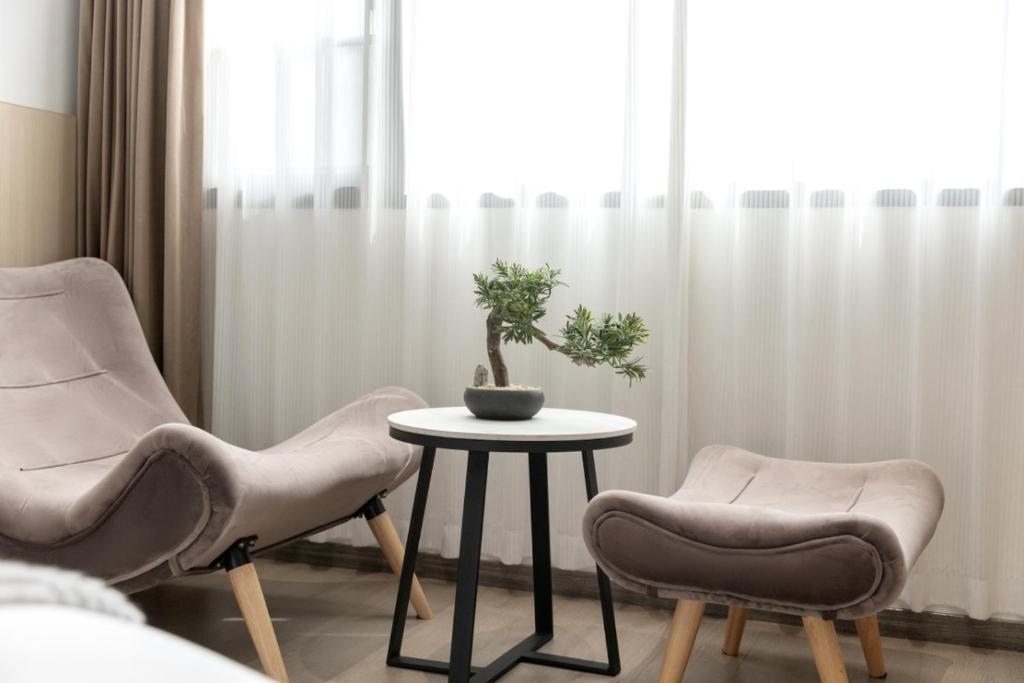 a room with two chairs and a table with a plant at 乌镇闲情逸致精品民宿 in Wujiaqiao