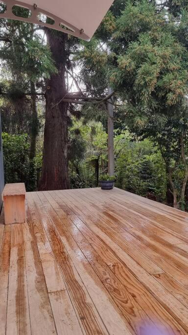 Wonderland - Resim 16