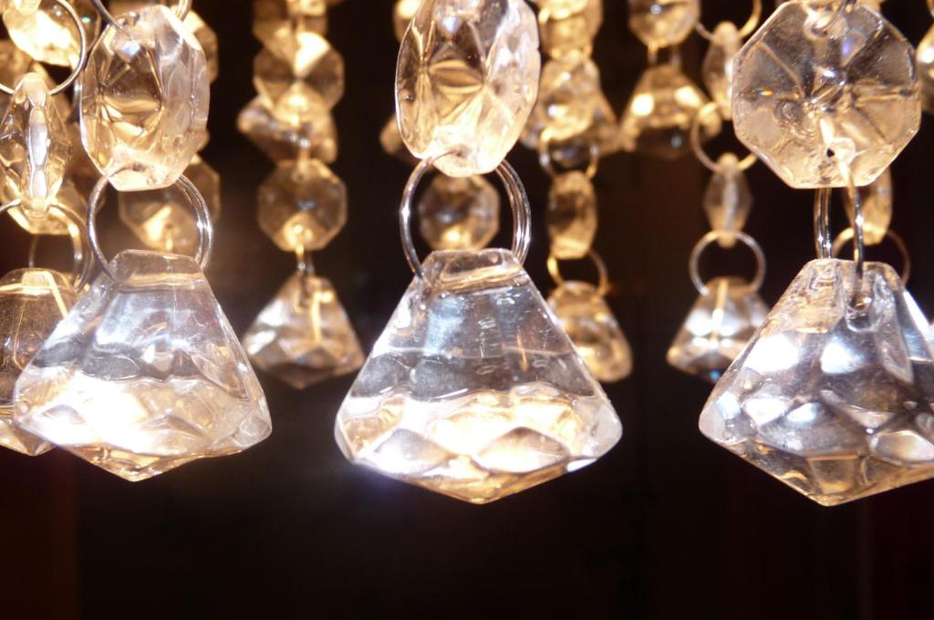 a bunch of lights hanging from a ceiling at Magnolia Petal in Ganges