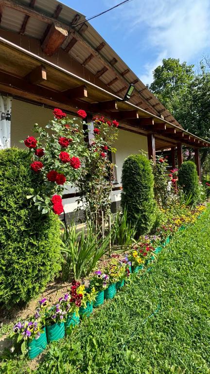 Zahrada ubytování Dacha PODOBOVETS 127