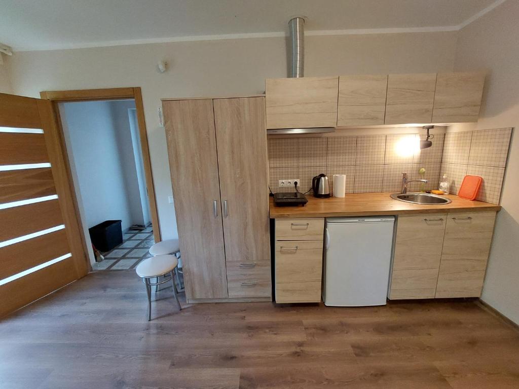 Kuchyň nebo kuchyňský kout v ubytování Apartamenti ar verandu diviem cilvēkiem
