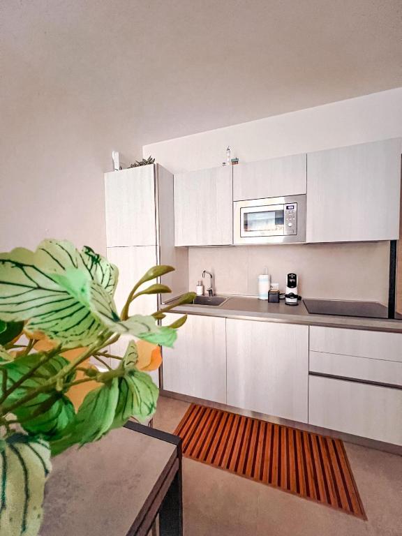 Kuchyň nebo kuchyňský kout v ubytování Apartment Mare45 - 10 minutes walk from the beach with one private ombrella and two sun-beds