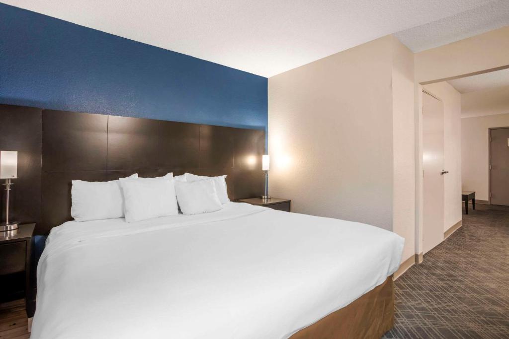 Comfort Suites Nashville Airport - BNA - King Suite Met Whirlpool - Niet -roken