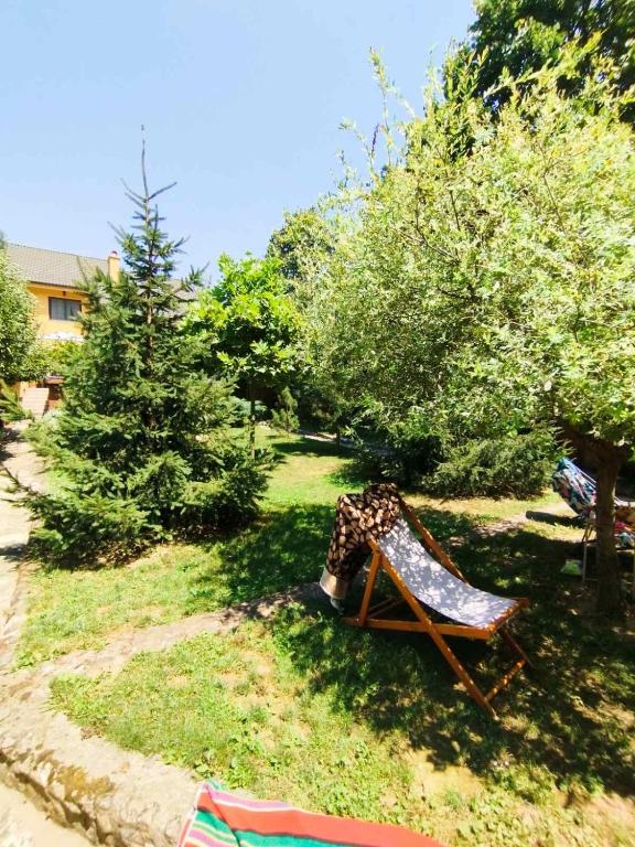 Zahrada ubytování Guesthouse Silvani
