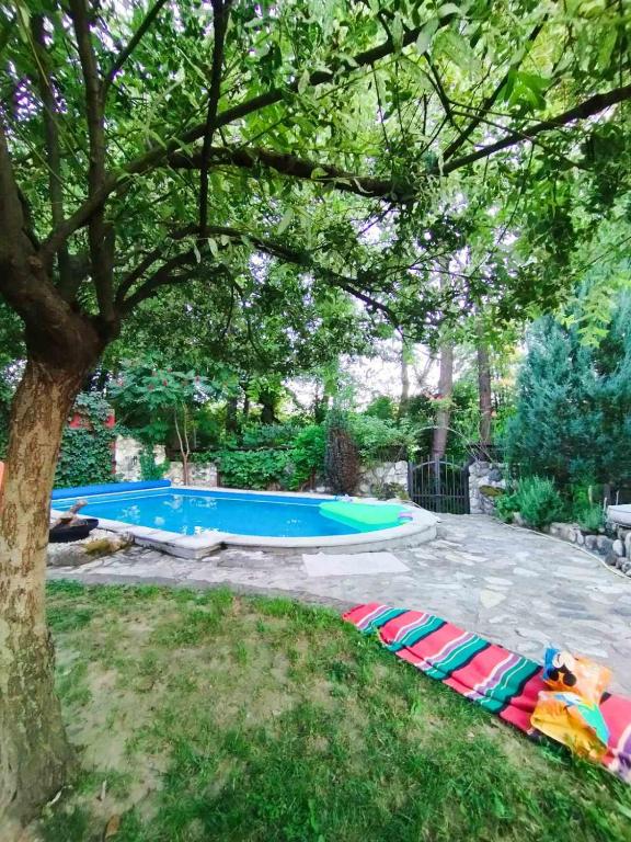 Bazén v ubytování Guesthouse Silvani nebo v jeho okolí