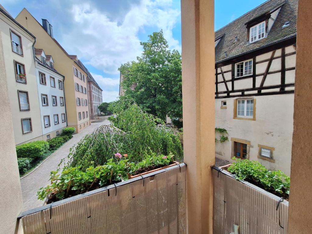Le Kuttel Colmar Centre Historique – photo 11