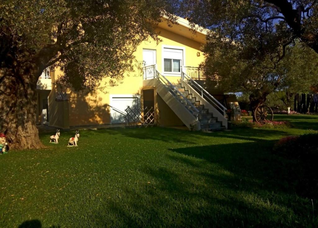 Un jardín fuera de Villa Lamprini