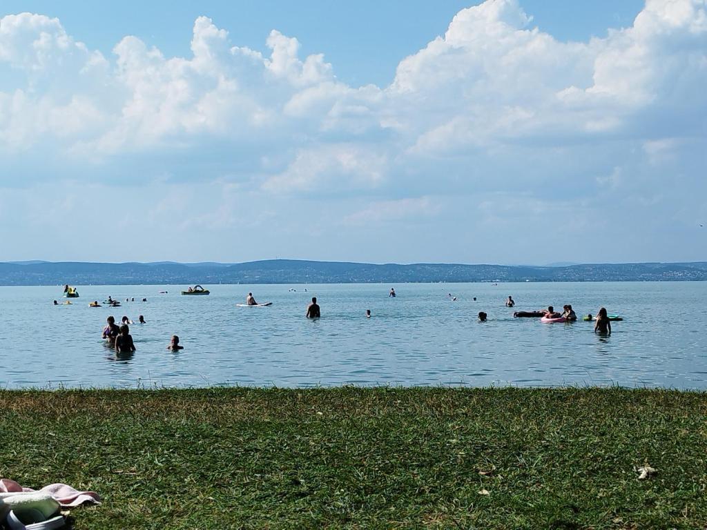 Silver Harmony Apartman Siófok 8600 Siófok, Liszt Ferenc sétány 16 kép - 1
