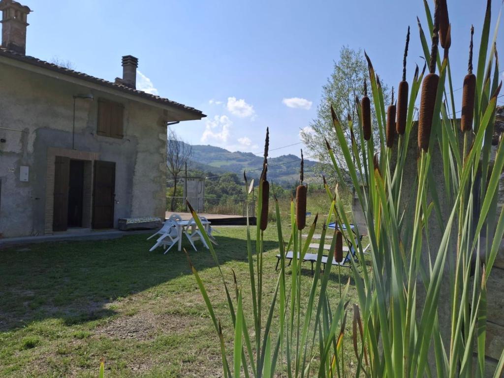 a view of the house from the garden at Ca' Rivella - paceful country living in Villa dʼAiano