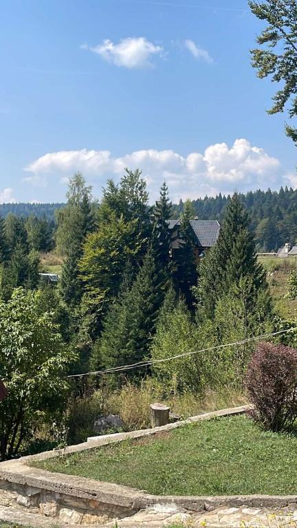 Priroda u blizini vikendice