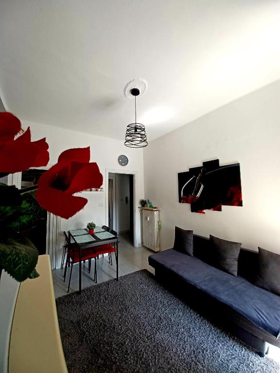 Intero appartamento luminoso e accogliente ! - 一居室公寓