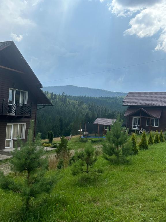 Příroda nedaleko chaty