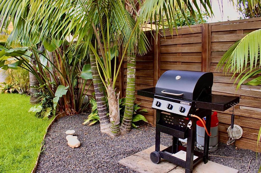 Barbacoa disponible para clientes en la casa o chalet