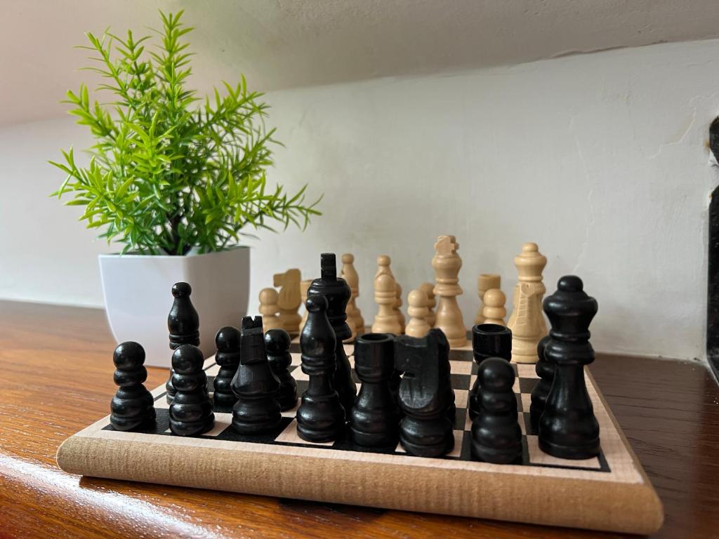 a chess set on a table with a potted plant at La Madama • Casa Vacanze in Porto Torres