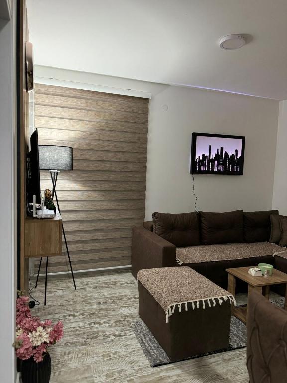TV a/nebo společenská místnost v ubytování Apartman Milanović Divčibare