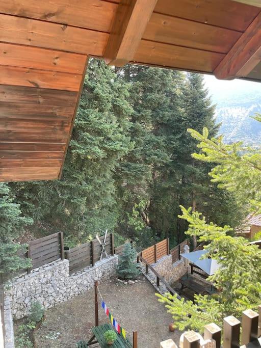 Zahrada ubytování The forest chalet in Parnassus