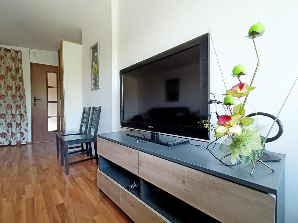 a flat screen tv sitting on top of a entertainment center at pokoje przytulnie jak w domu in Kraków