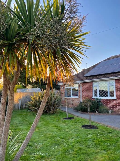 two palm trees in a yard in front of a house at Cosy bungalow Air con & Wi-fi in Sidley