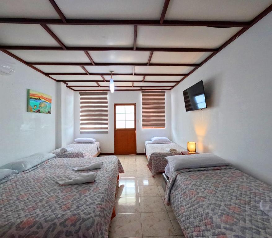 Postel nebo postele na pokoji v ubytování Galapagos Dreams