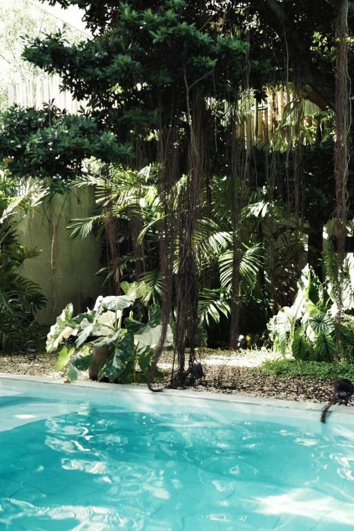 Bazén v ubytování Banyan Villa Panglao with private pool nebo v jeho okolí