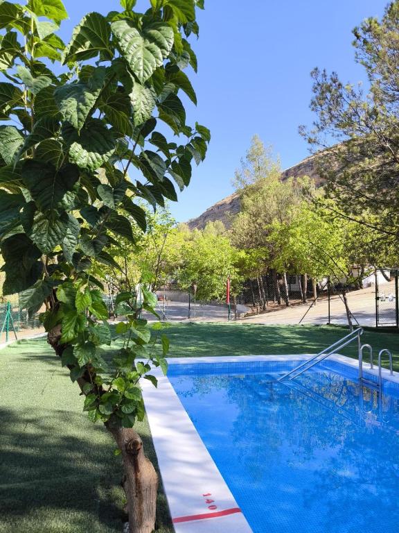 un árbol junto a una piscina azul en CENTRO DE OCIO ALÚA Casa Rural Iznájar Lago de Andalucía, en Iznájar