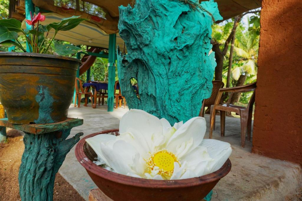 Fotografie z fotogalerie ubytování Rana Treehouse v destinaci Piduragala