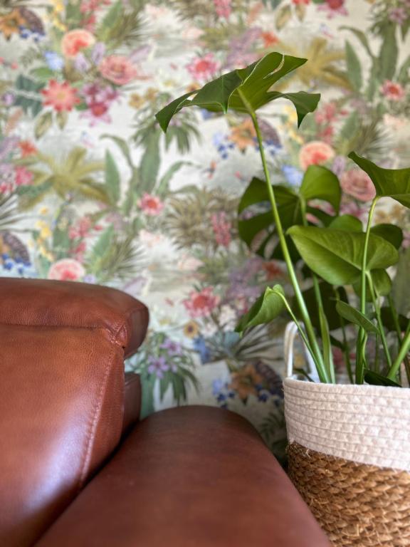 a brown leather couch with a plant in a vase at Belfast Skyline Retreat - 3 Bedroom Apartment with Free Parking in Belfast