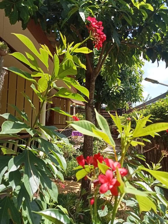 Zahrada ubytování COWORX Koh Lanta