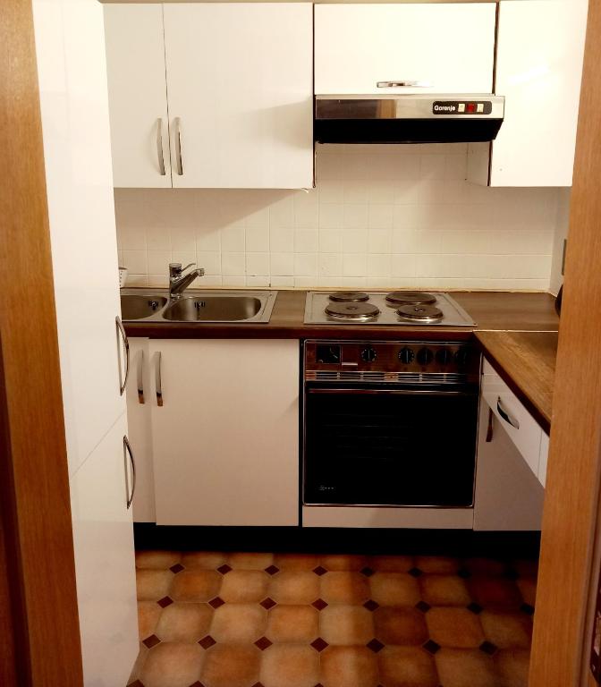 Kuchyň nebo kuchyňský kout v ubytování Mani‘s Appartements