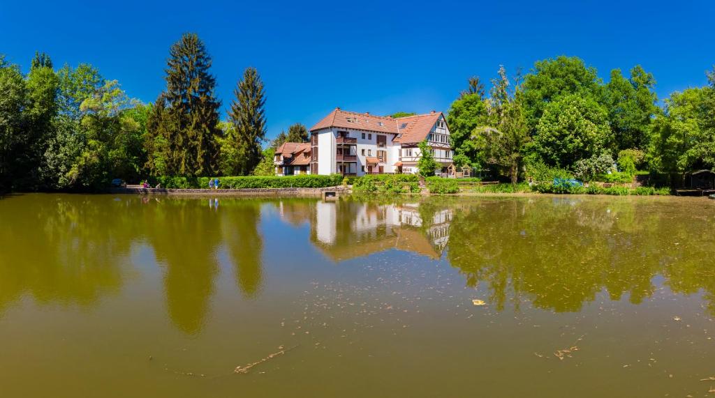 Příroda nedaleko apartmánu