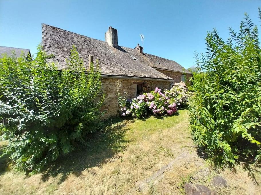 an old stone house with bushes in front of it at maison en pierres in Pradinas
