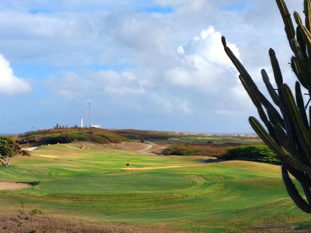 Golf v aparthotelu nebo okolí